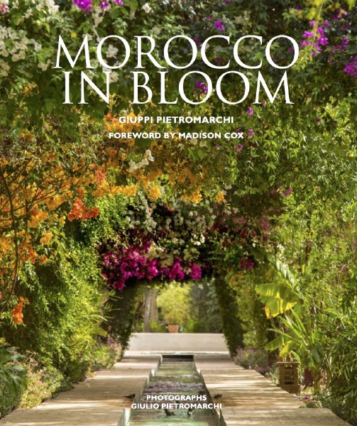 morocco in bloom