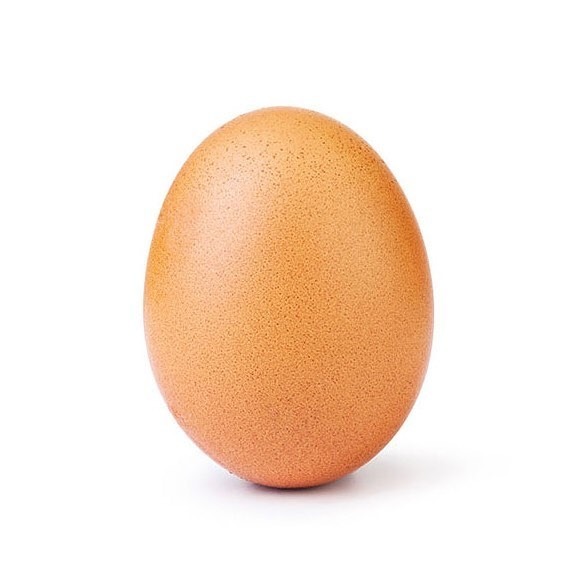 world-record-egg-instagram-kylie-jenner-like-photo-stormi